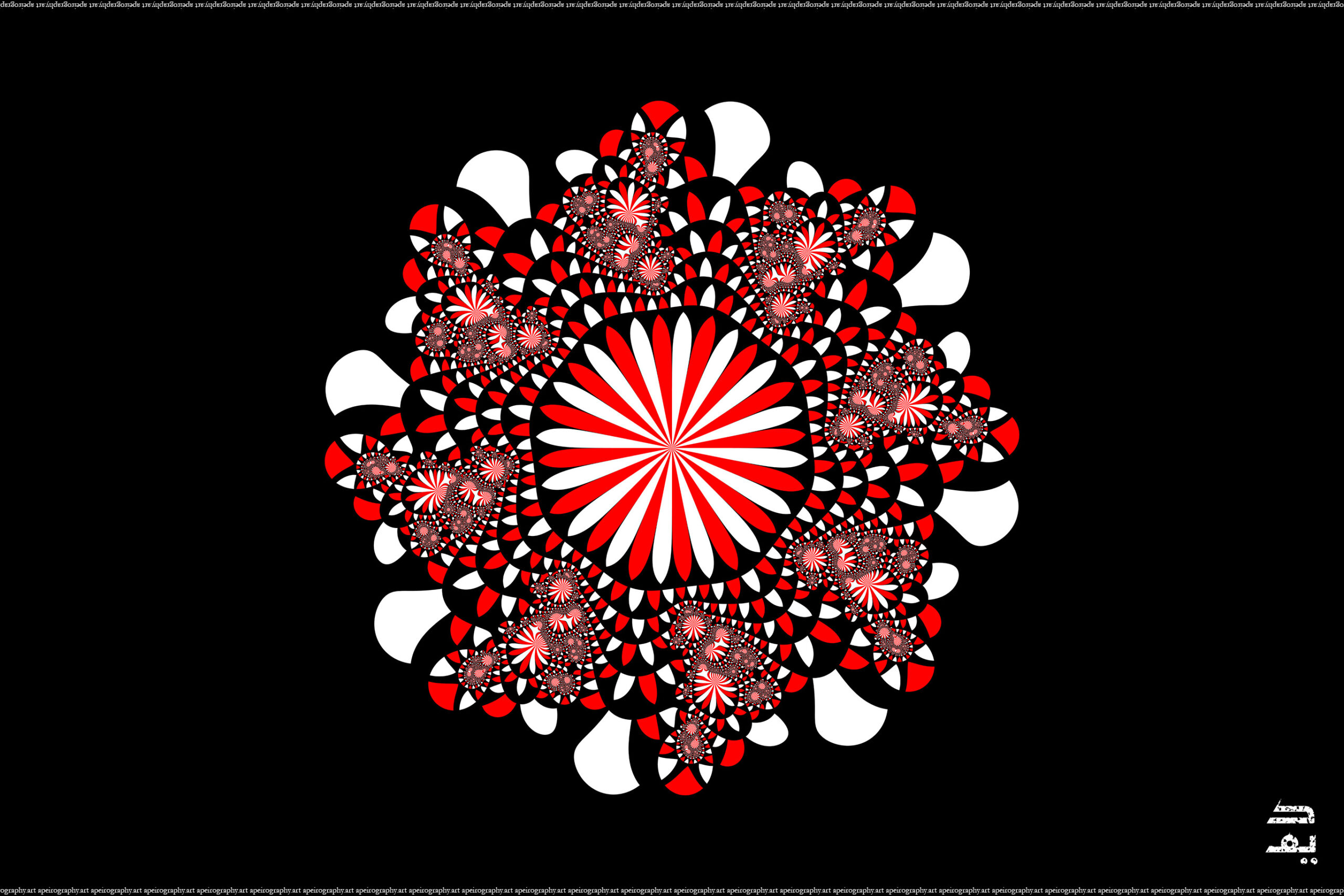 Apeirography_003_-_Chrysanthemum_Canadensis